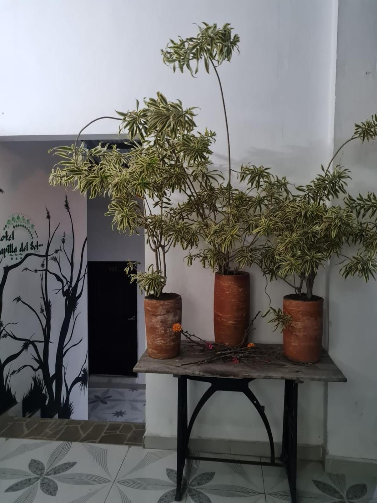 Capilla Del Sol Ξενοδοχείο Garzón Εξωτερικό φωτογραφία